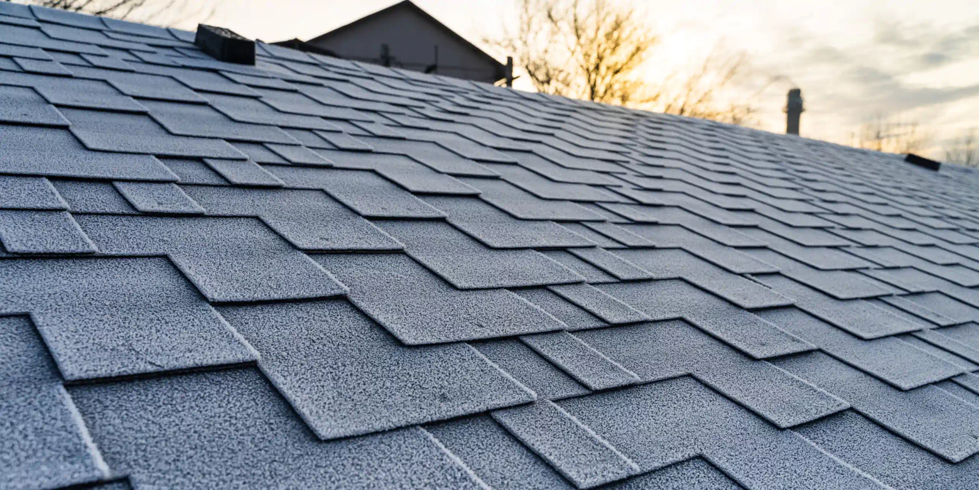 an angled view of the roof shingles